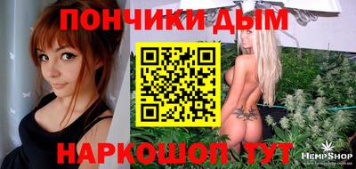 стафф Донской