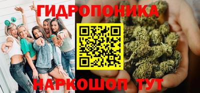 стафф Донской