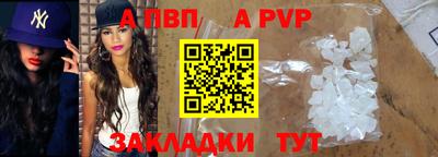 стафф Донской