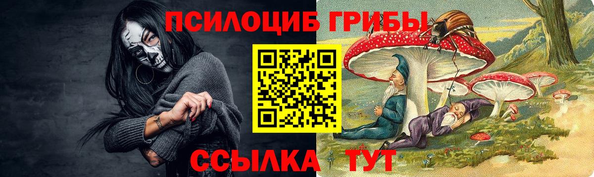 Псилоцибиновые грибы прущие грибы Гудермес